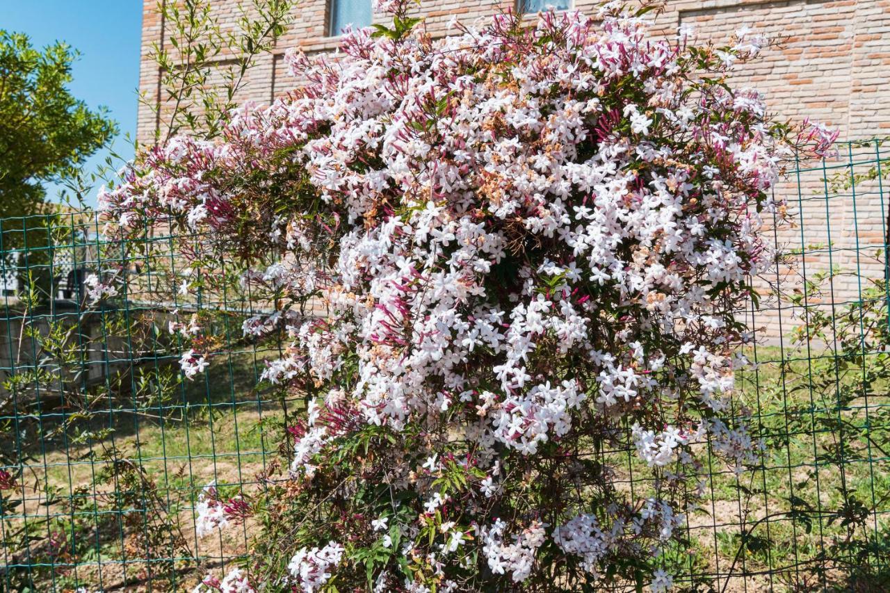 Al Sole Farm stay Loreto