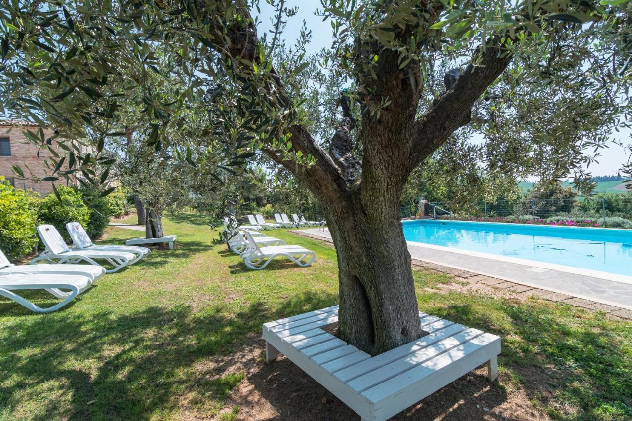 Al Sole Farm stay Loreto