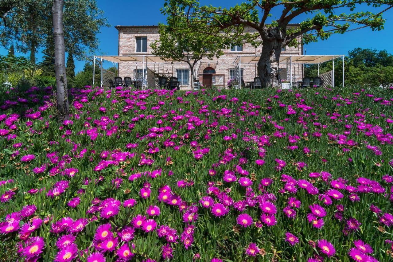 Al Sole Farm stay *