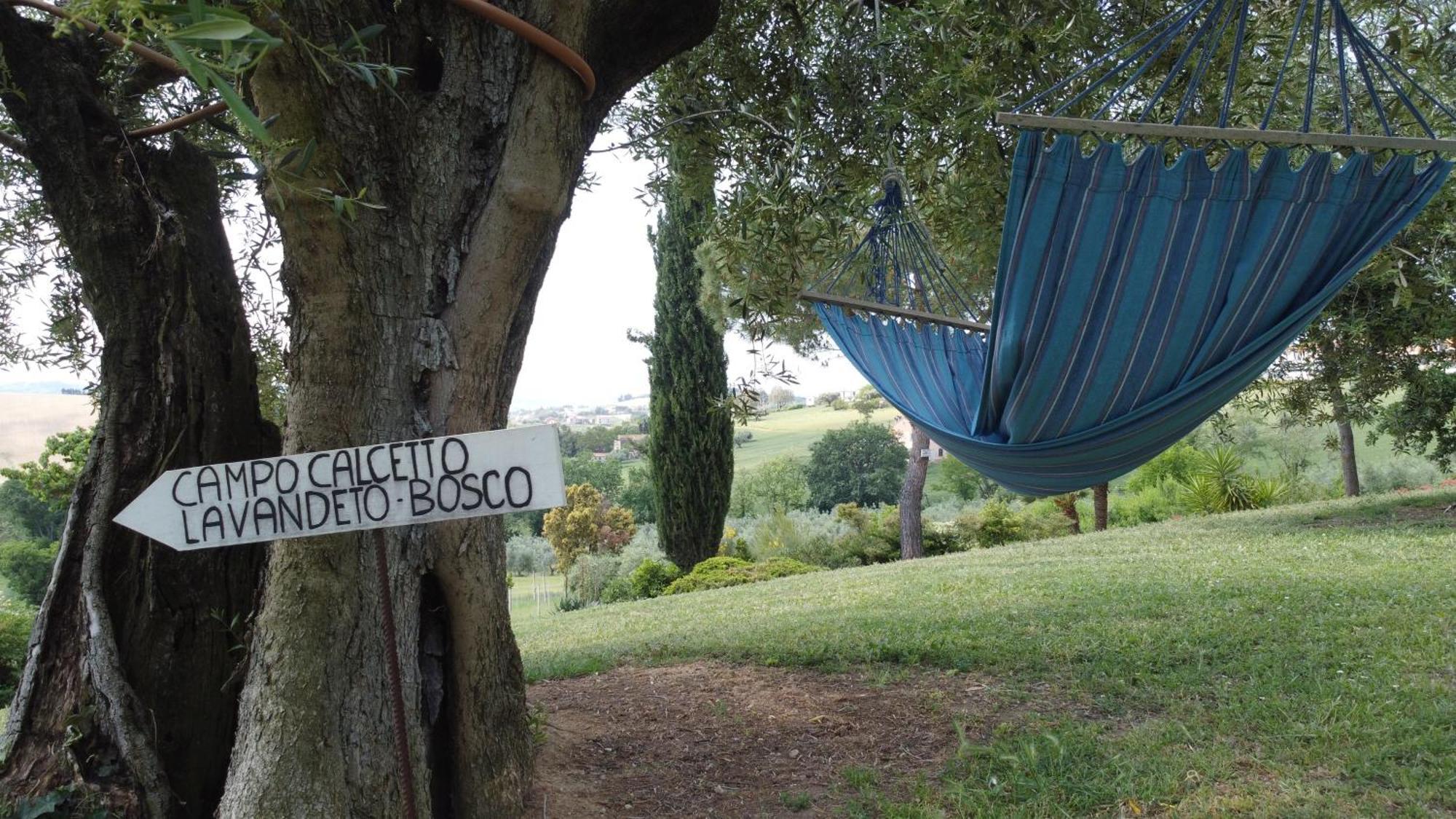 Farm stay Al Sole Loreto